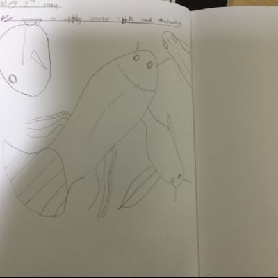 IMG0489